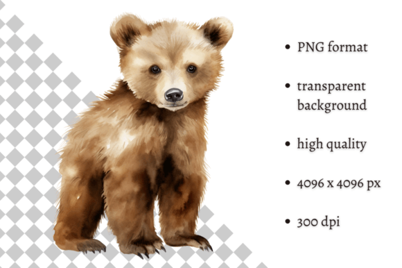 Download Watercolor Woodland Baby Bear Clipart - Baby bear clipart Collection