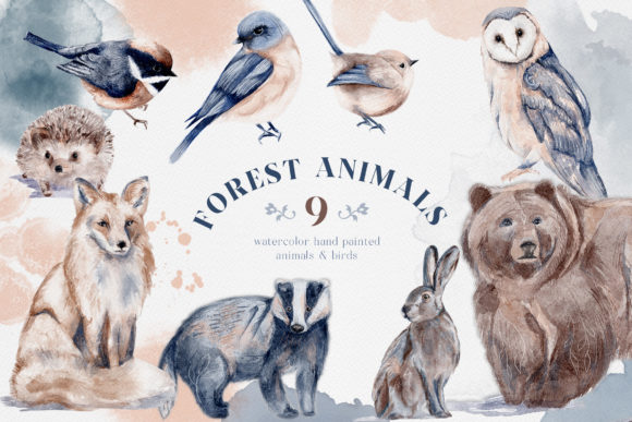 Download Watercolor Forest Animals Birds Owl - Watercolor forest animals Collection