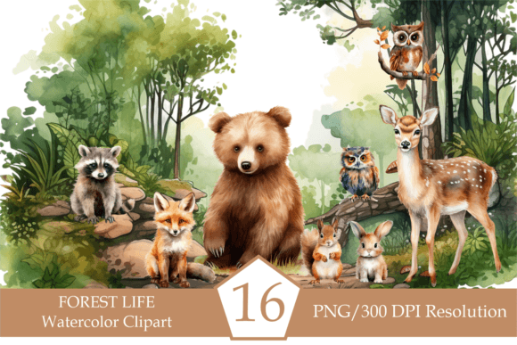 Download Watercolor Forest Animals - Watercolor forest animals Collection