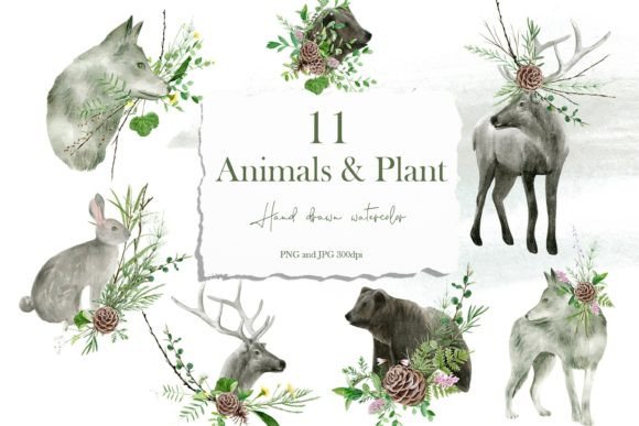 Download Watercolor Forest Animals &amp; Wildflowers - Watercolor forest animals Collection